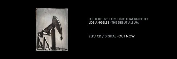 LolBudgieJCKNF Profile Banner