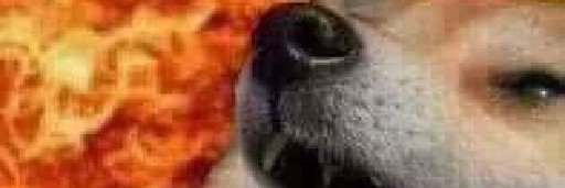 nelsonph's profile banner image