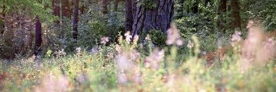Fouurxx's profile banner image
