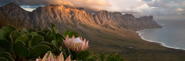 AmandaJaneWilde Profile Banner