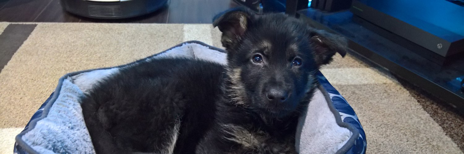 Mike 🇨🇦 banner