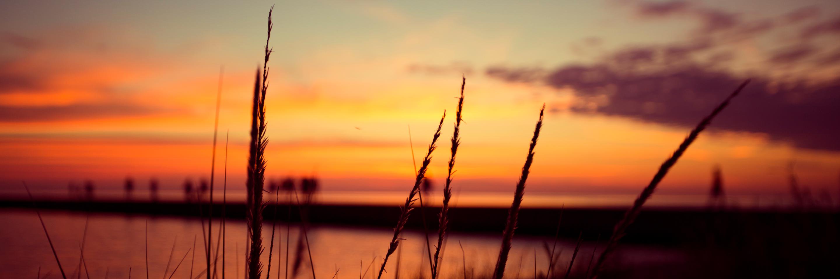 Gary from CBUS banner