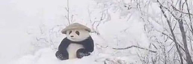 whoiscdg's profile banner image