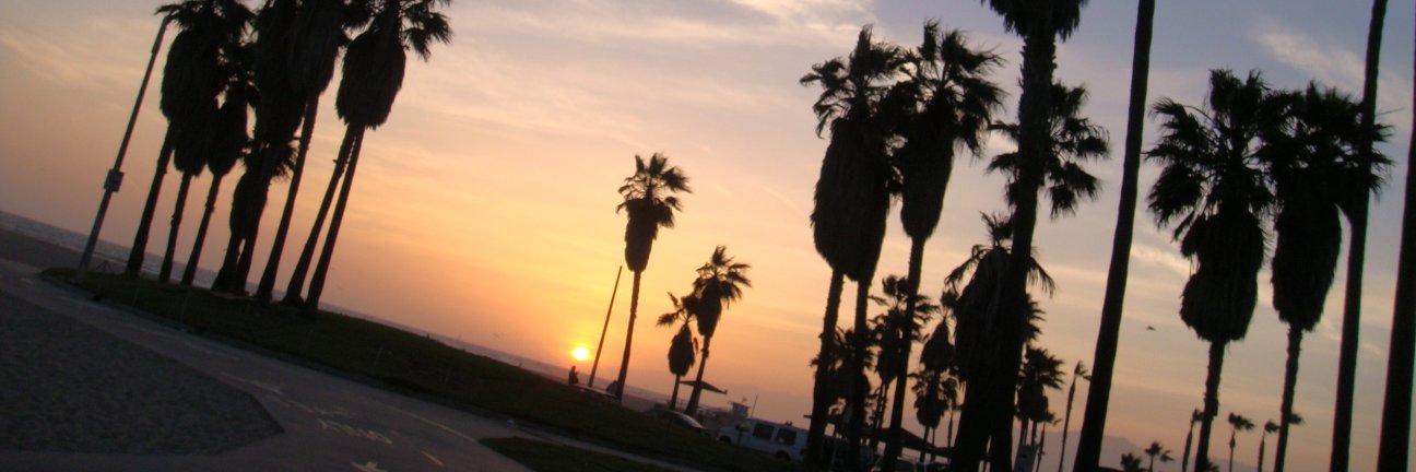 nurmuca's profile banner image
