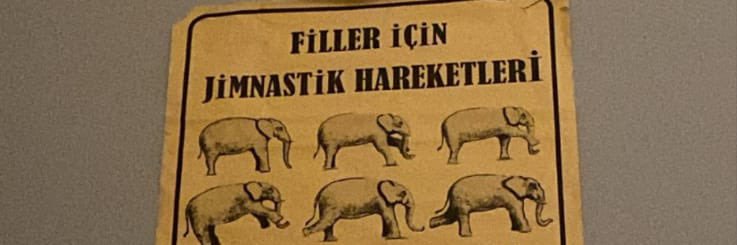 deniz banner