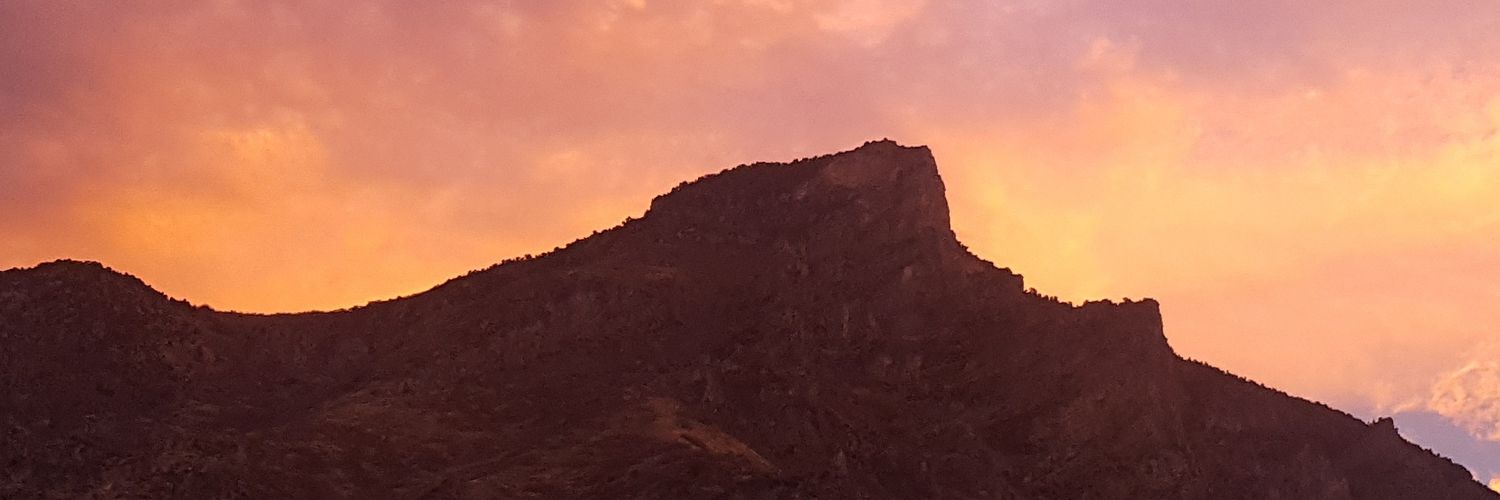 tisheli's profile banner image