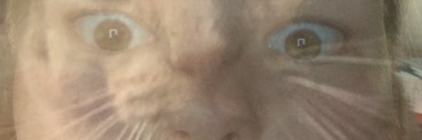 TadTheMushroom Profile Banner