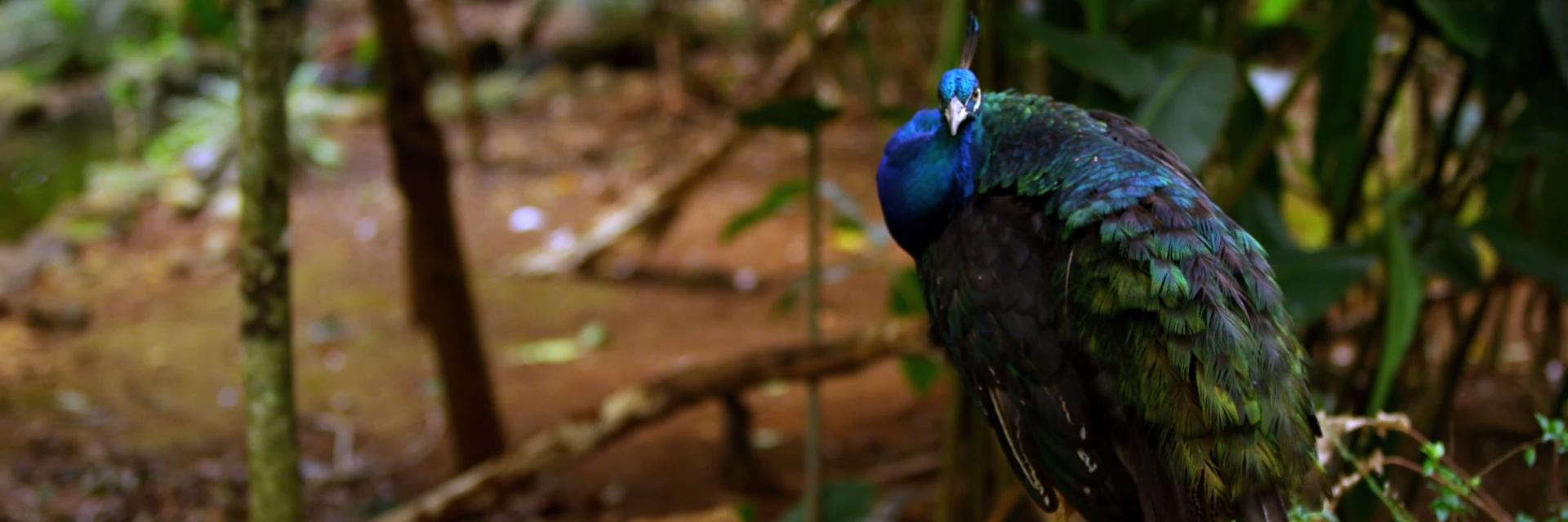 surajsun4's profile banner image