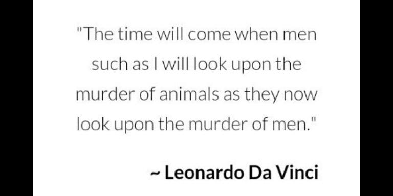 EvAnimalMatters's profile banner image
