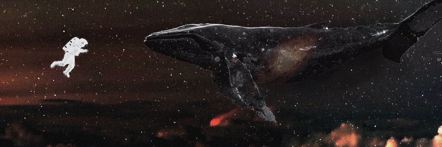 ngahuai's profile banner image