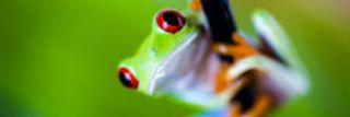 vanniarib's profile banner image