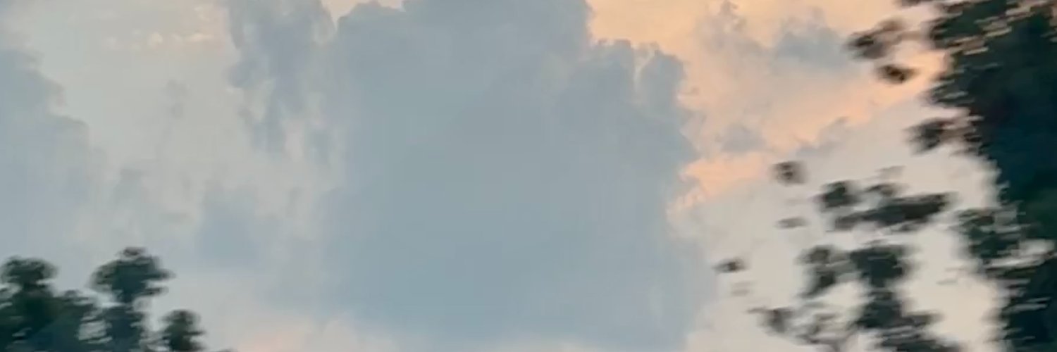 Harper Zhou（互fo互赞） banner