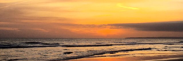 beatriz banner