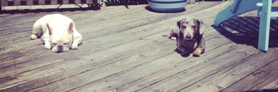 casey banner