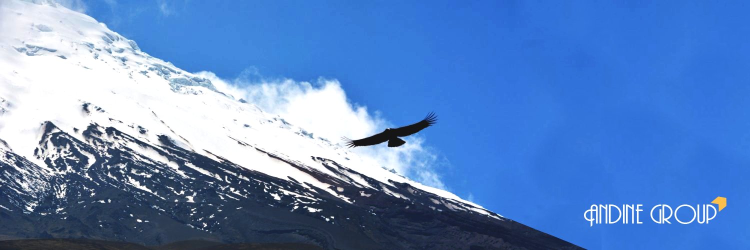 Andine Group 🇳🇺 powered by UR2D2 banner