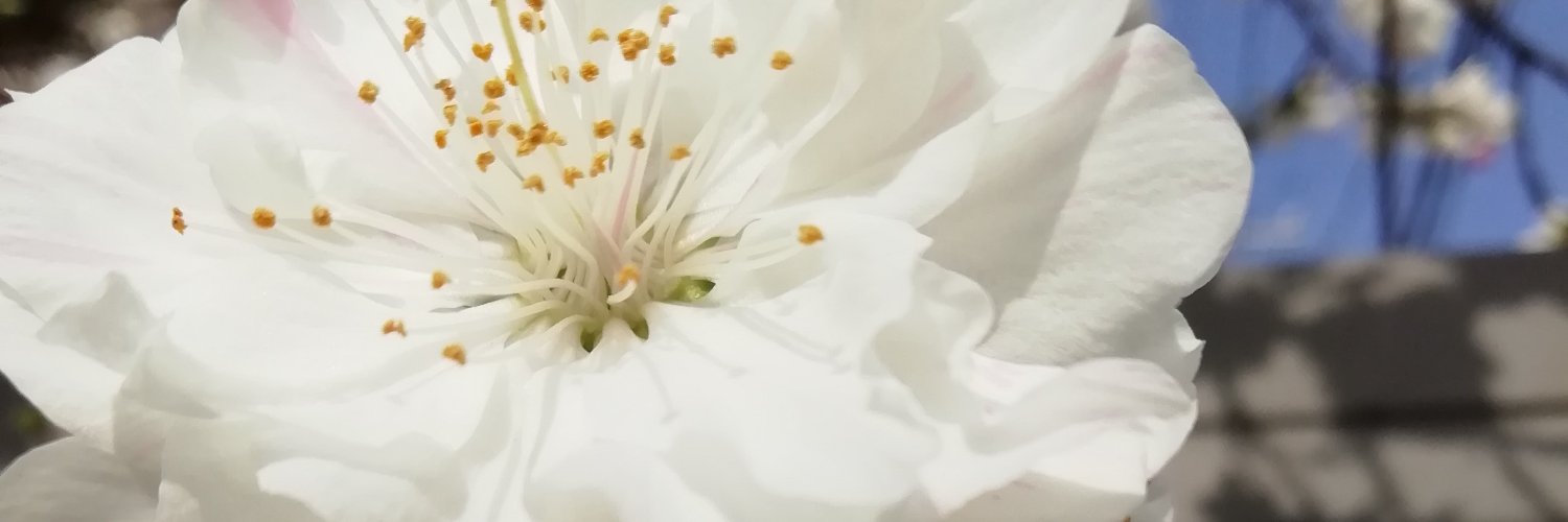 unkotaro11's profile banner image