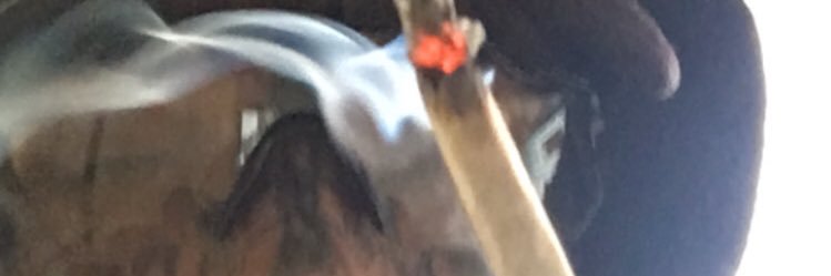 idiotacansado's profile banner image