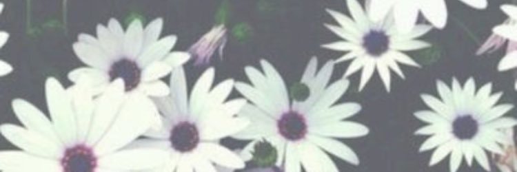 61125_k's profile banner image