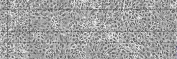 _MichaelPatter Profile Banner