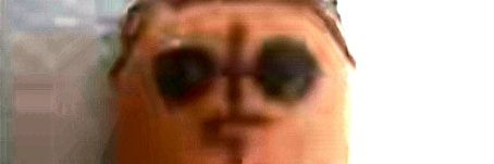 Bungo's banner