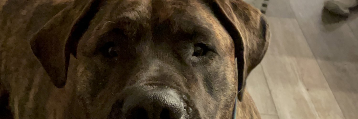 mindybraga's profile banner image