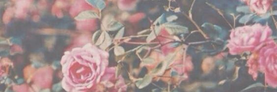 wandasoler_f's profile banner image
