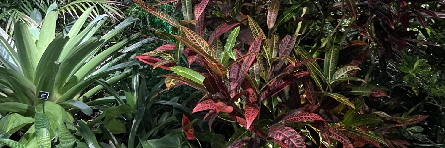 anna_mesko's profile banner image
