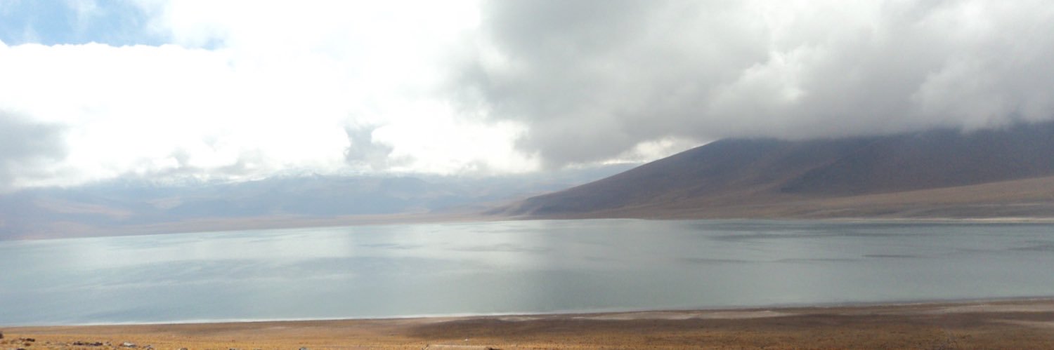 Andrea Ramírez banner