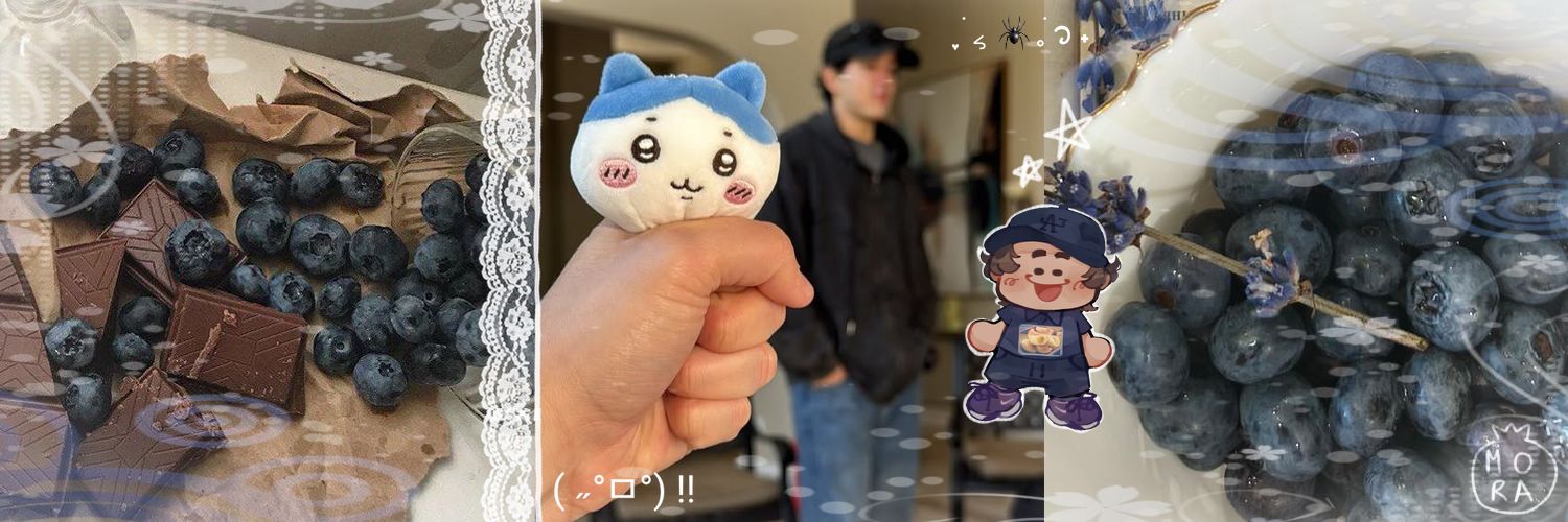 ⭒ֺ៹ 𝐌𝐨𝐫𝐚 🫐 ˙𐃷˙ banner