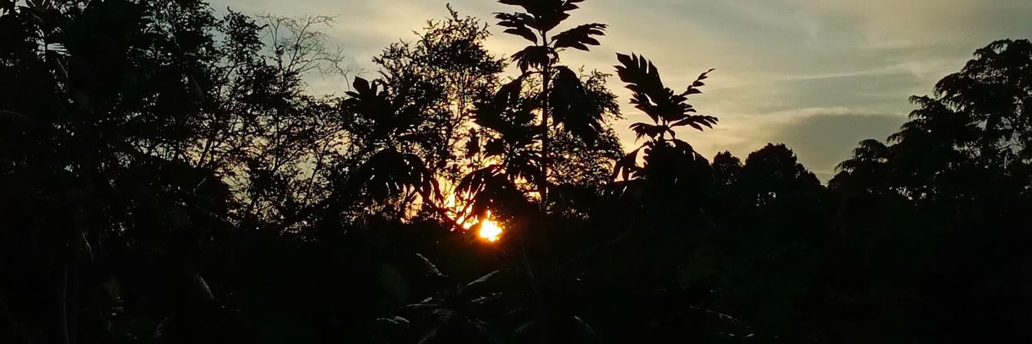 sofckingggg's profile banner image