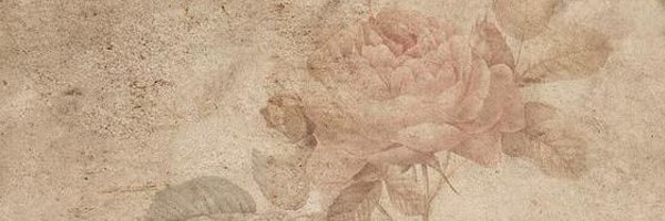 ns_gov Profile Banner