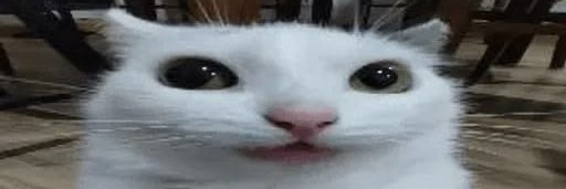 jenphiazz's profile banner image