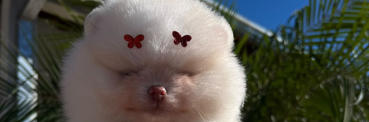 itsbeadiniz's profile banner image