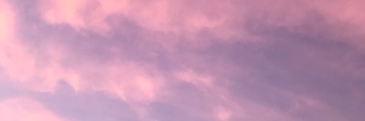morganandrson's profile banner image