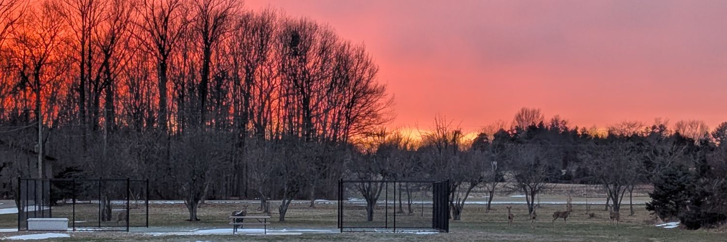 bob schumacher banner