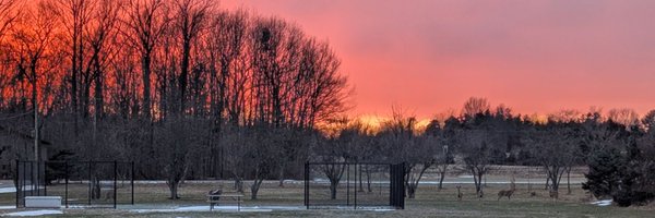 bobschu Profile Banner