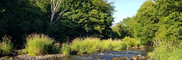 scottgal Profile Banner