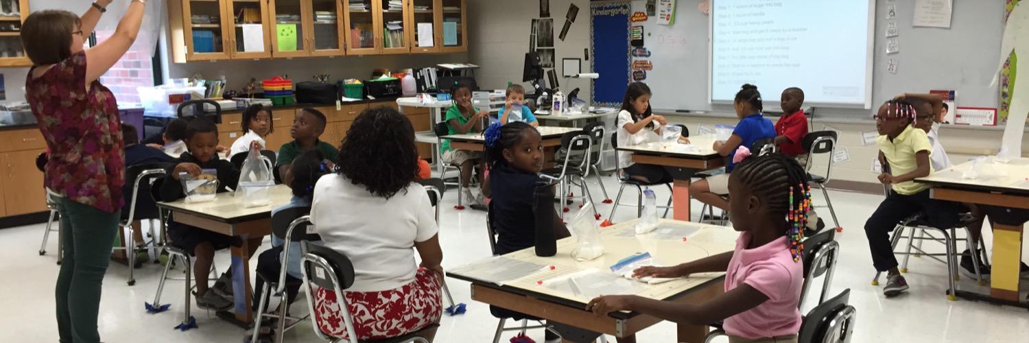 Hattie Cotton STEM banner