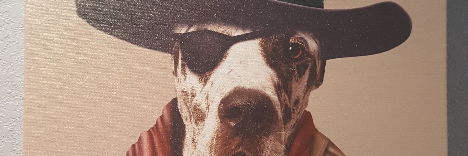 GCorzett's profile banner image