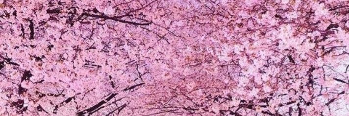 ladylaidloves's profile banner image