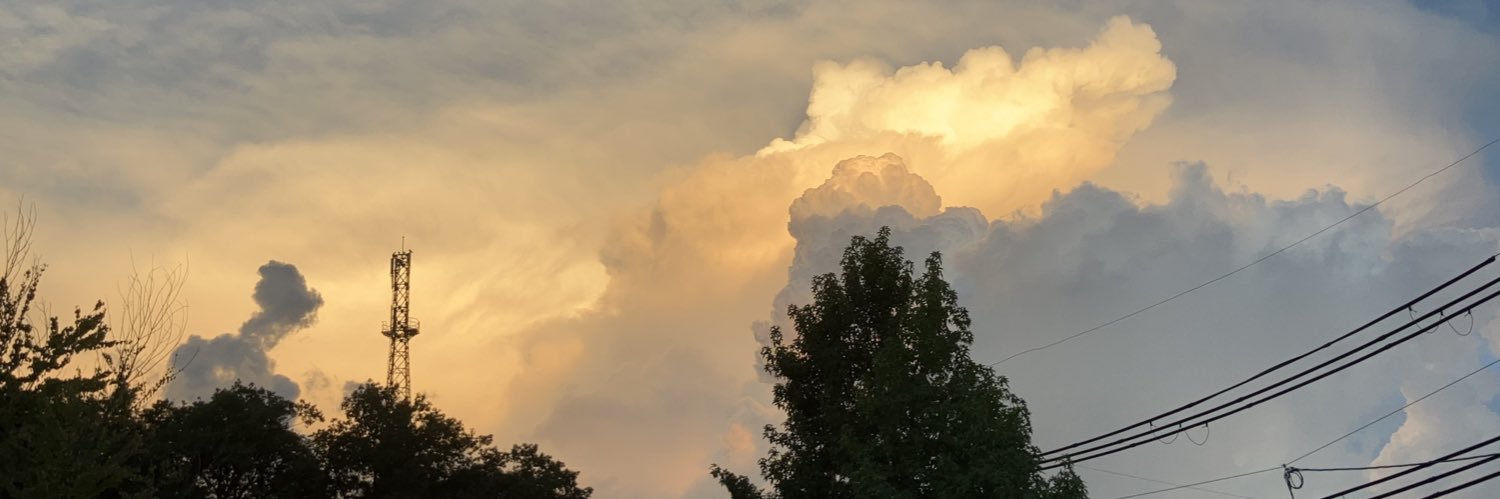 さら//新規⏸️ banner