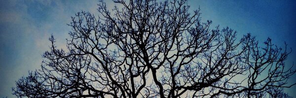 StartupsVI Profile Banner