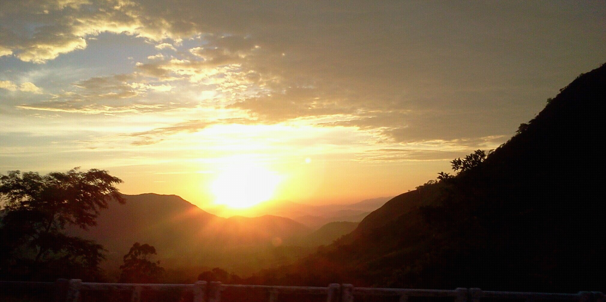 Bruno Fischer banner