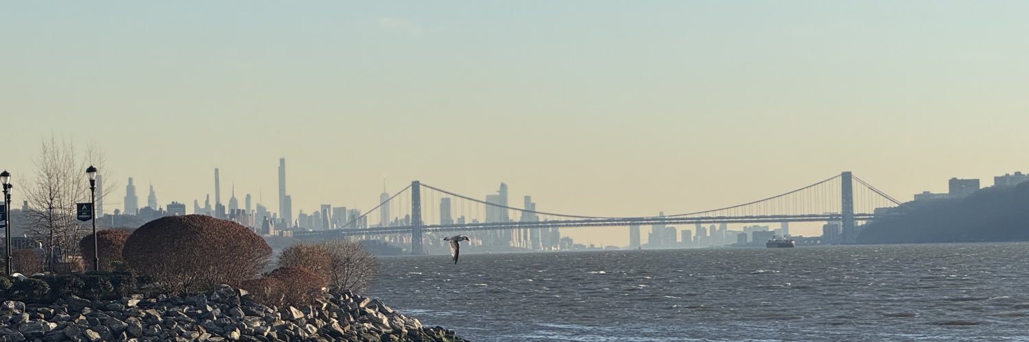 WDYSTFU's profile banner image