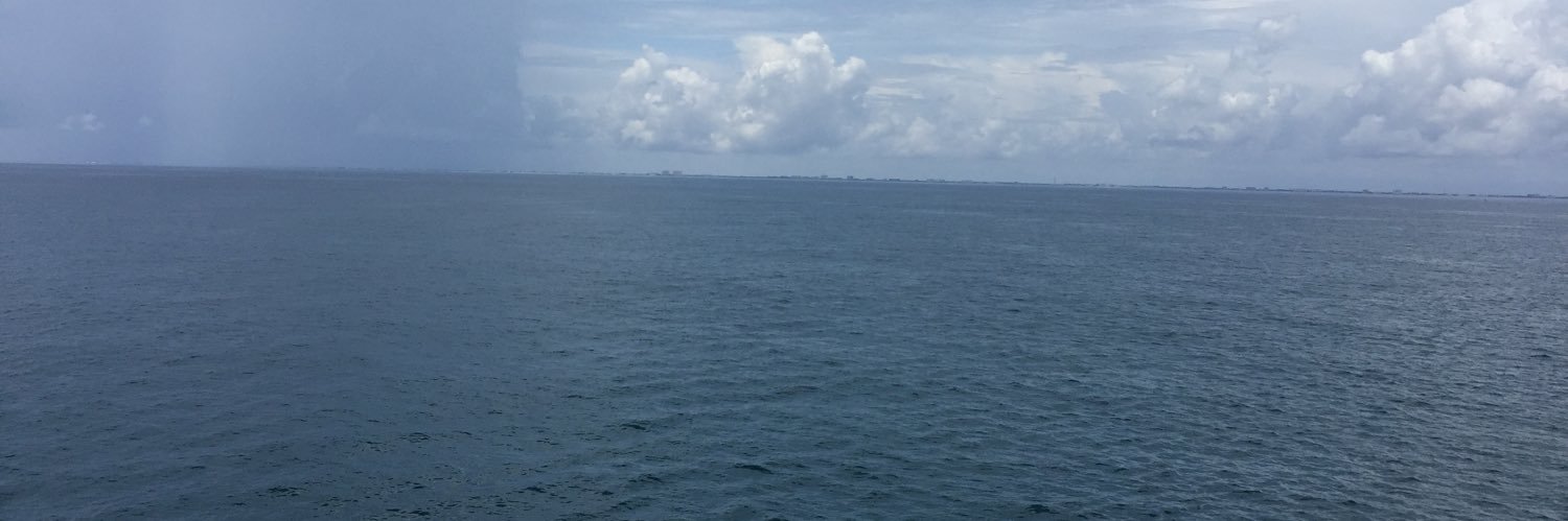 RealRare518's profile banner image