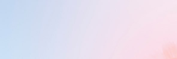 あみ banner