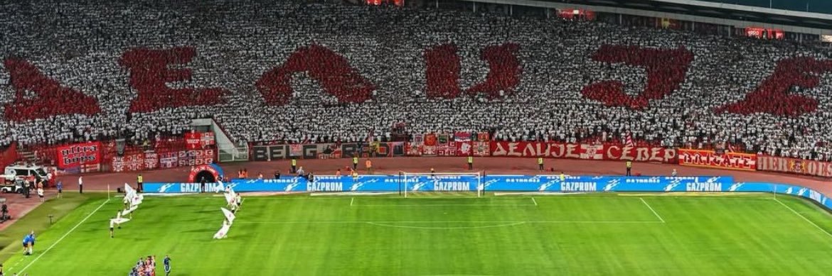 Prosečan navijač banner