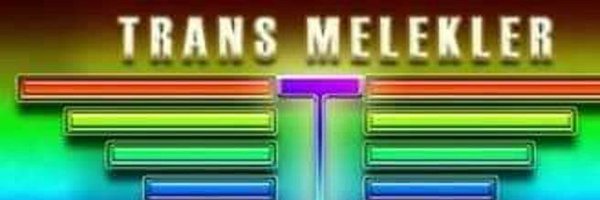 TRAVESTITRANSCD Profile Banner