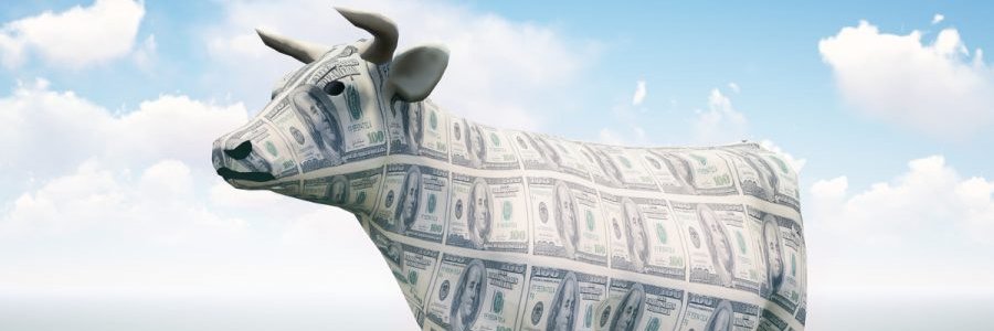 MooTrading's profile banner image