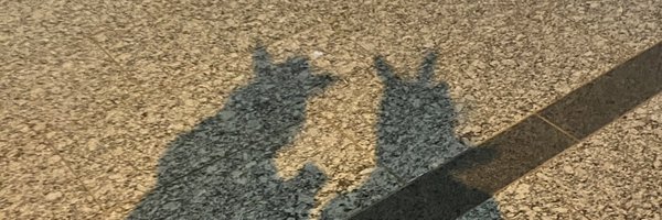 kumeuma Profile Banner